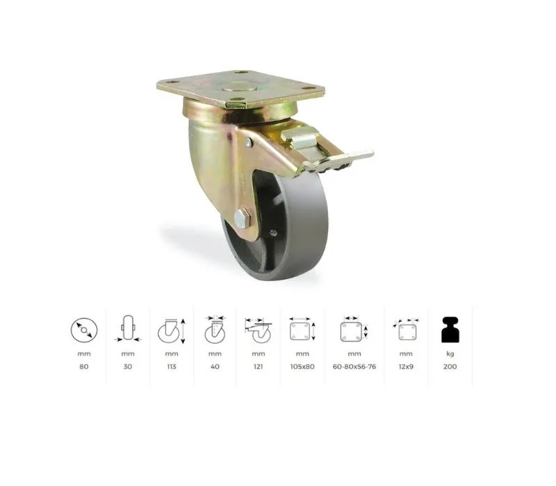 80x30 Döküm Döner Frenli Teker-1.jpg 80x30 Döküm Döner Frenli Teker-1.jpg